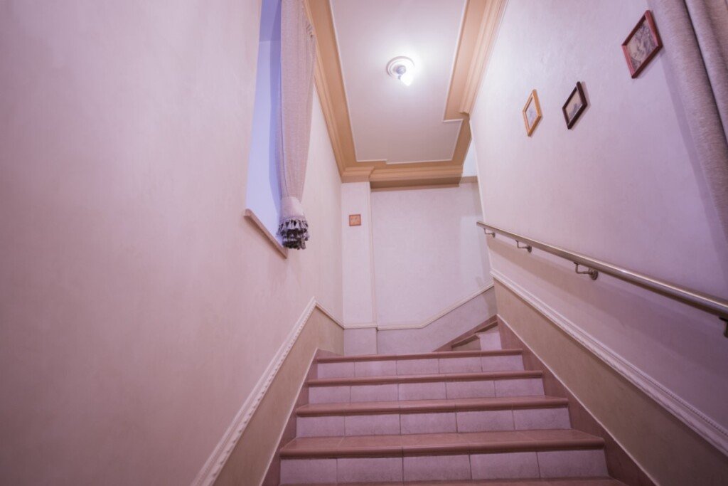 Отель Ладомир Флоренция, Московская область: фото 3