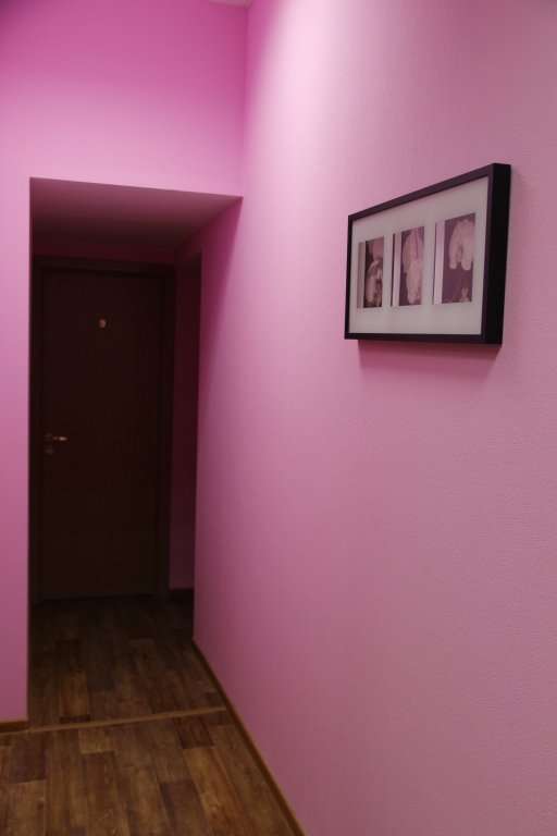 Гостиница Уютная, Ленинградская область: фото 4