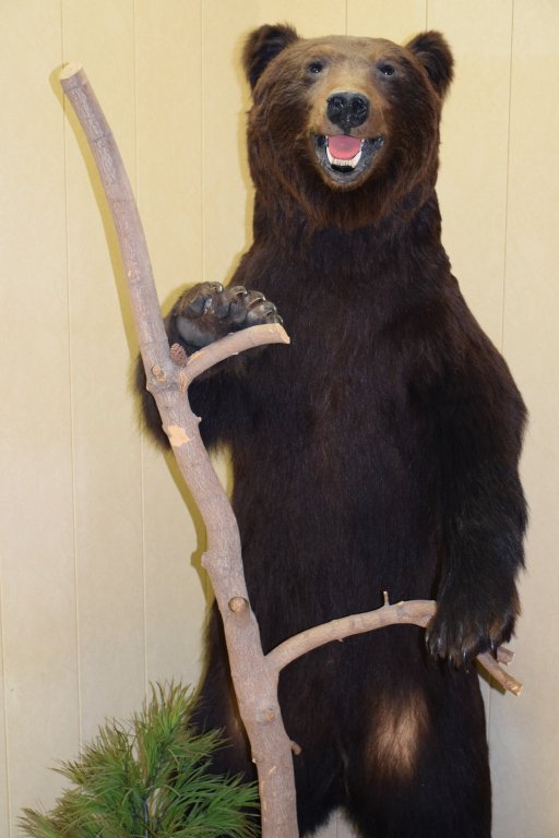 Отель Регион 59, Пермский край: фото 4