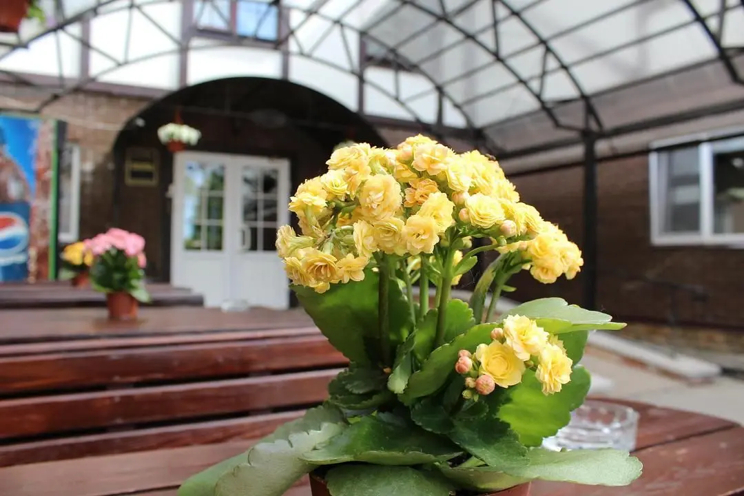 Печоры-парк, Псковская область: фото 5