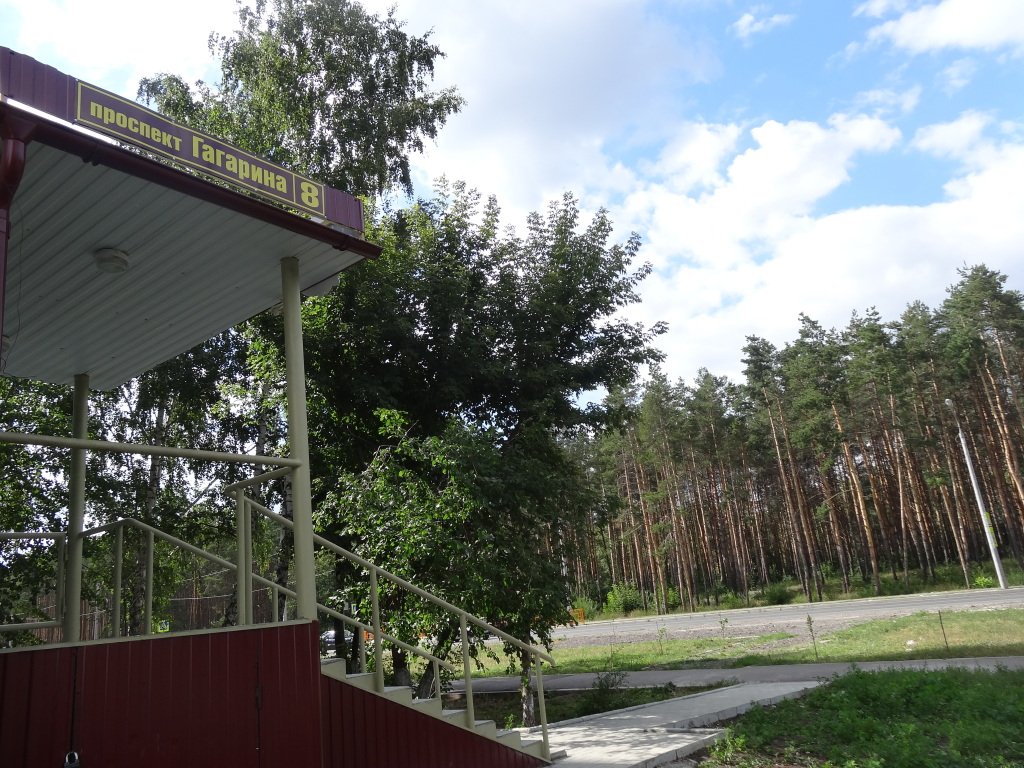 Отель Золотая рыбка, Самарская область: фото 3