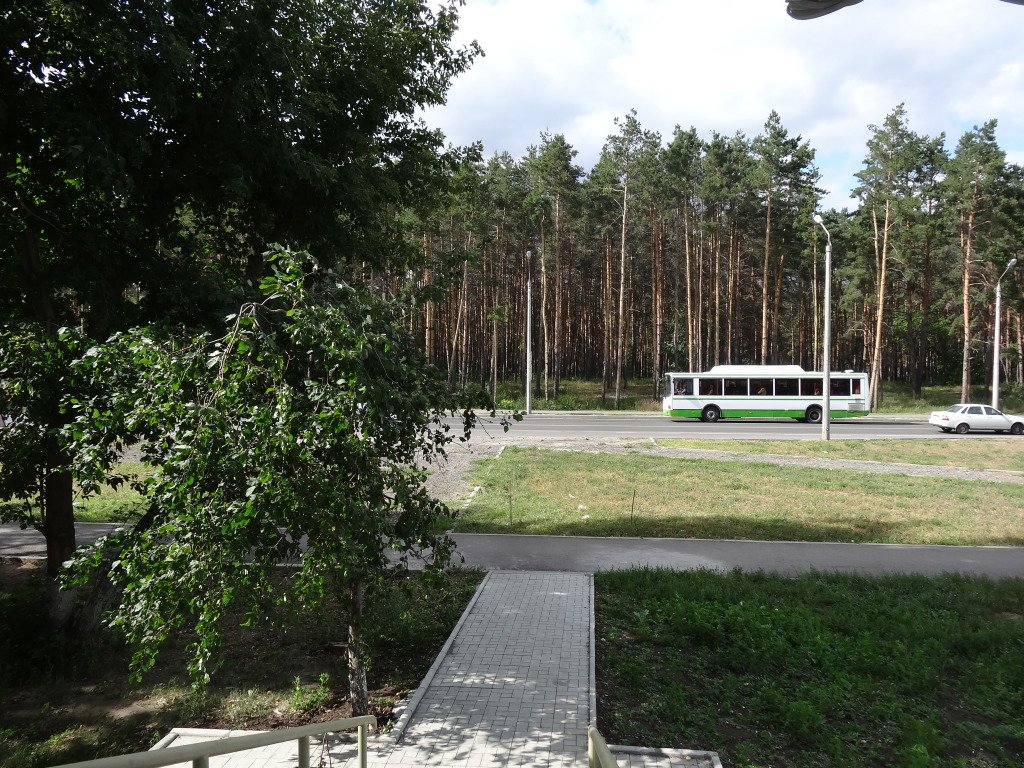 Отель Золотая рыбка, Самарская область: фото 5