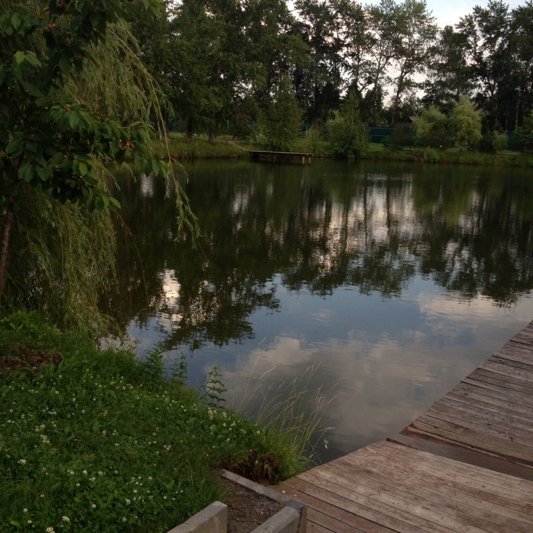 Парк-отель Парус, Московская область: фото 5