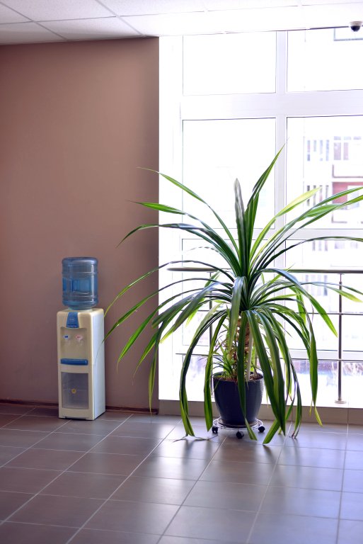 Отель Званица, Тверская область: фото 5