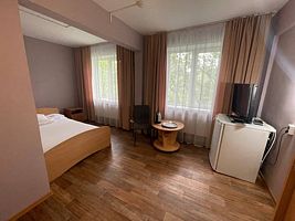 Одноместный номер секционный Эконом-класса, Отель Гостиница Аэропорт Красноярск, Емельяново