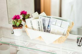 Одноместный номер Comfort, Отель Мон, Петушинский район