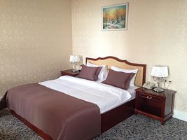 Двухместный номер Стандарт Оптима двуспальная кровать, Гостиница Астраханская, Астрахань