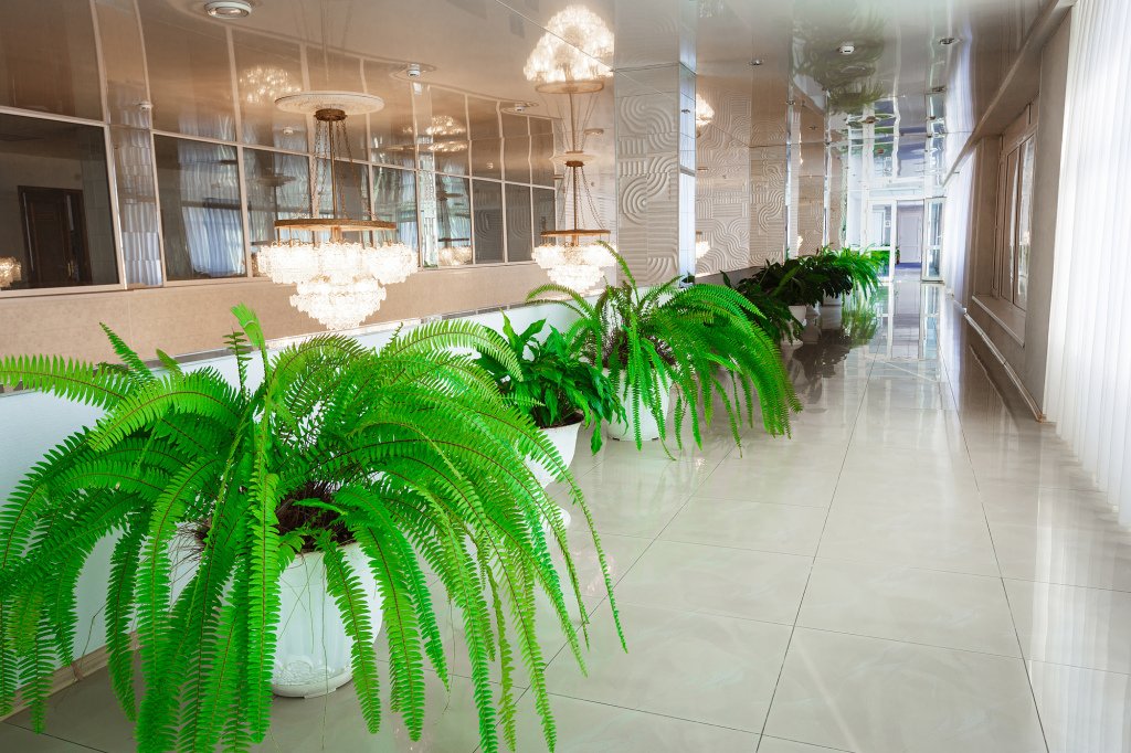 Гостиница Зея, Амурская область: фото 5