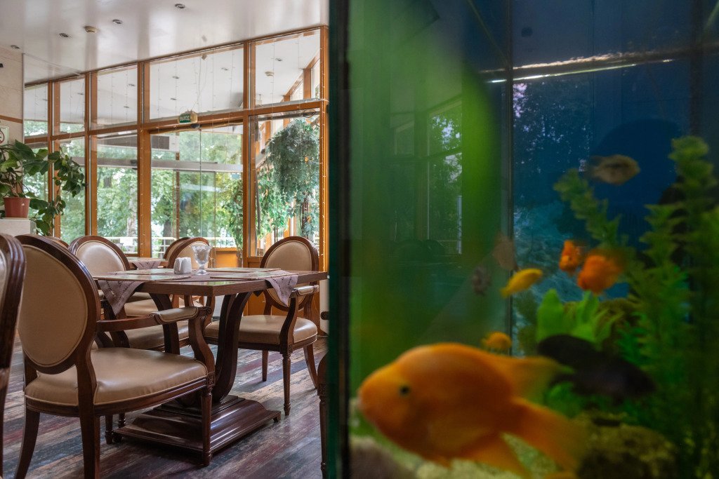 Отель Везендорф ВДНХ, Московская область: фото 4