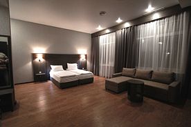 Двухместный номер Deluxe двуспальная кровать, Отель Art Villa&SPA, Краснодар