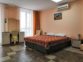 Двухместный номер Standard+ No.10/4 двуспальная кровать, Отель Золотой лев, Омск