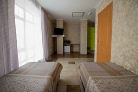 Двухместный номер Стандарт №12 2 отдельные кровати, Отель Золотой лев, Омск