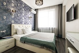 Двухместный номер Standard с видом на город двуспальная кровать, Отель Корона, Санкт-Петербург