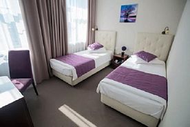 Двухместный номер Standard 2 отдельные кровати, Отель Павелецкая АЭРО, Москва