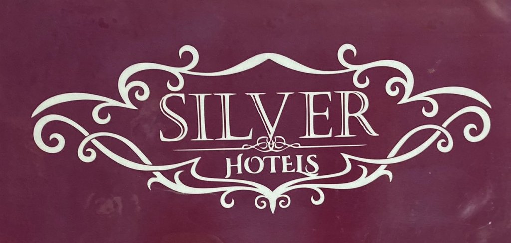 Отель Silver, Московская область: фото 2