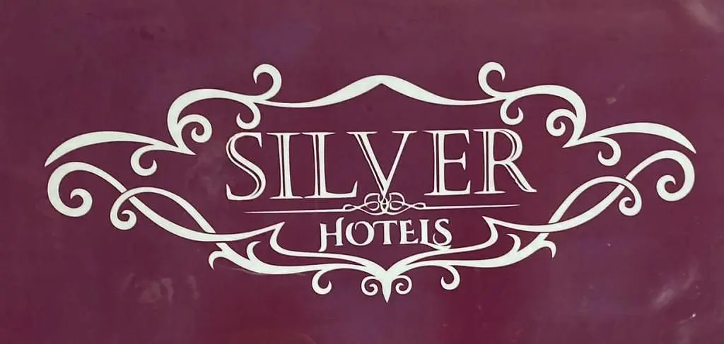 Отель Silver, Московская область: фото 2