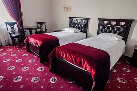 Двухместный номер Superior 2 отдельные кровати, Отель Гостиница Nabat Palace, деревня Григорчиково