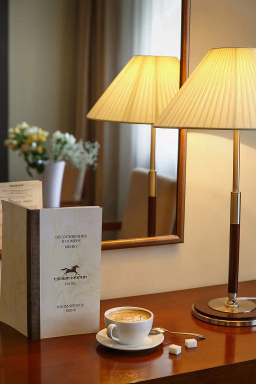 Отель Сагаан Морин, Республика Бурятия: фото 4