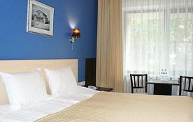 Двухместный номер Standard Comfort двуспальная кровать, Отель Антик, Москва