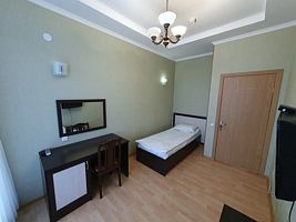 Одноместный номер Standard с видом на город, Отель Астра, Ессентуки