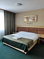 Двухместный номер Standard двуспальная кровать, Отель Горизонт, Находка