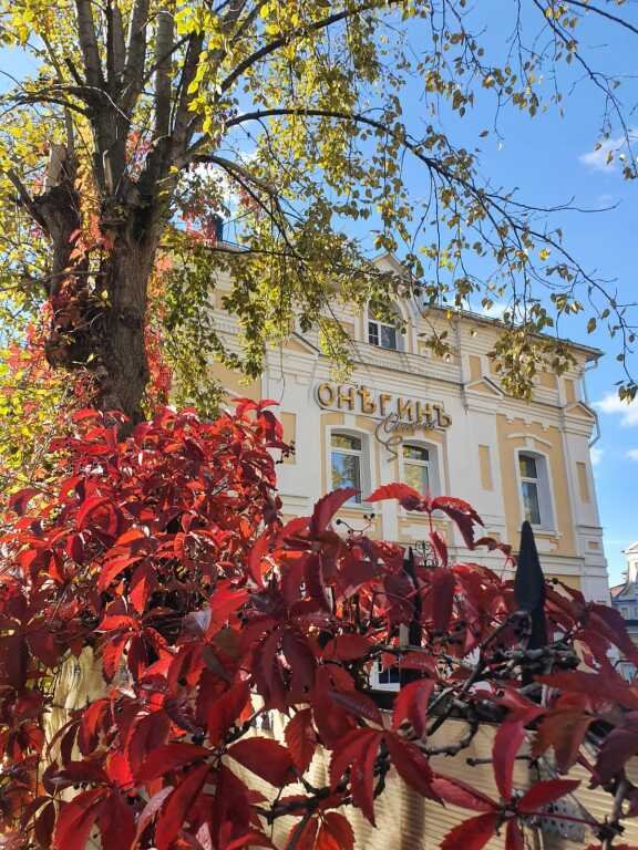 Отель Онегин, Ивановская область: фото 2