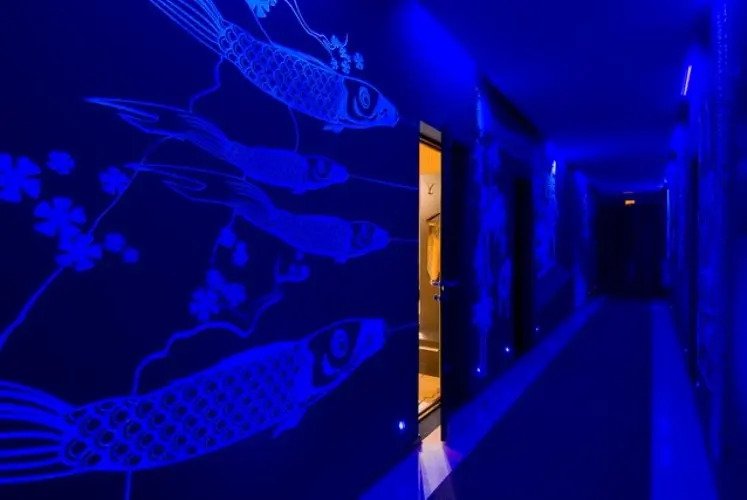 Отель Максимум, Воронежская область: фото 5