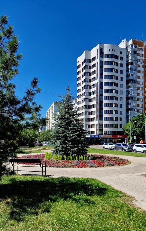 Отель Парус, Московская область: фото 3