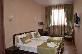 Двухместный номер Comfort с видом на город двуспальная кровать, Отель Апельсин, Электросталь
