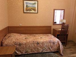Одноместный номер Standard односпальная кровать, Отель НУ СРГК ВОС, Москва