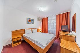 Двухместный номер Standard двуспальная кровать, Парк-отель Фили, Москва