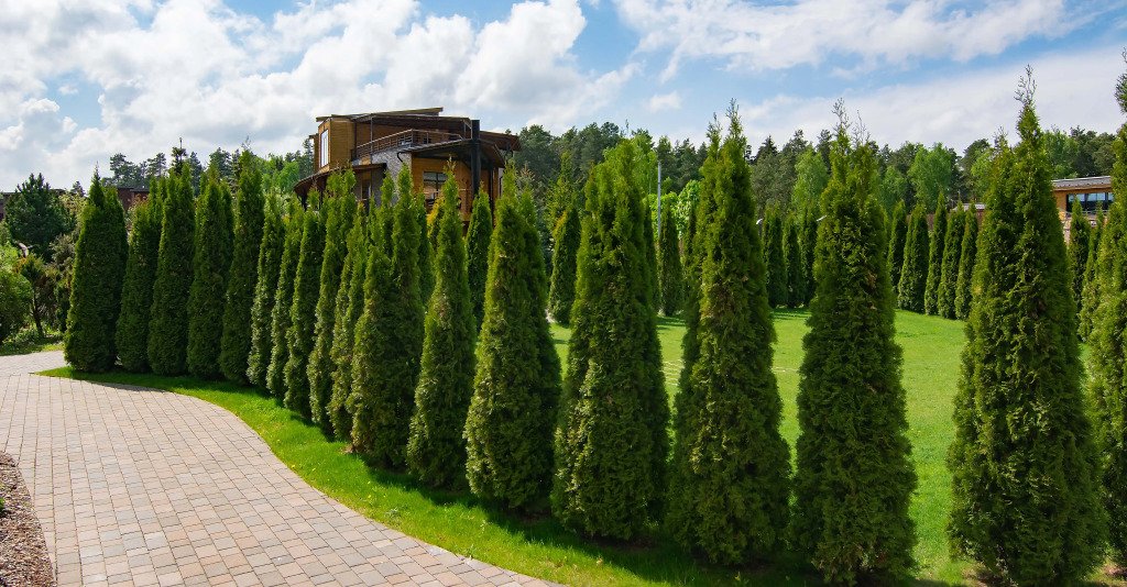 Отель Artiland, Московская область: фото 2