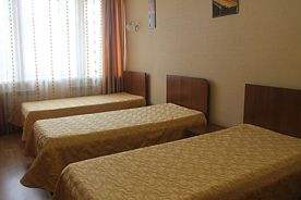 Трёхместный номер Standard, Отель Париж, Зеленый