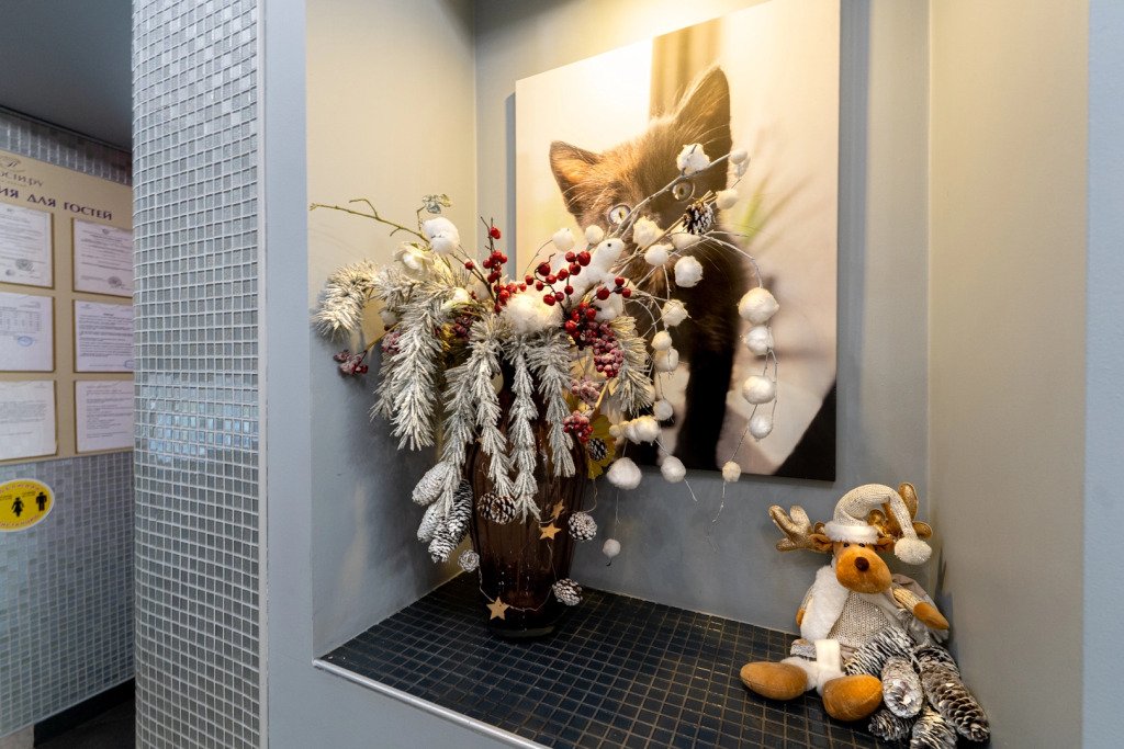 Отель Погости.ру на Алтуфьевском Шоссе, Московская область: фото 2