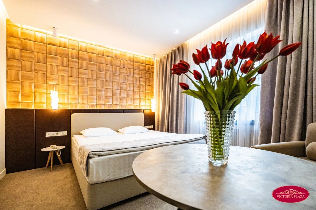 Отель Виктория Плаза, Ярославская область: фото 4