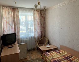 Одноместный номер Эконом, Отель Русь, Орловский район