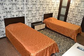 Двухместный номер Без окна Standard 2 отдельные кровати, Отель Palace, Волгоград