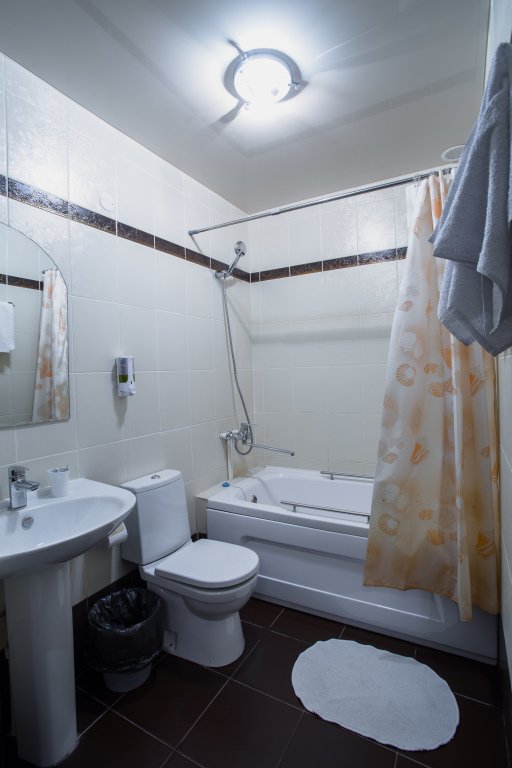 Гостиница Крокус, Омская область: фото 5