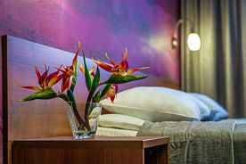 Двухместный номер Comfort двуспальная кровать, Отель Загреб, Саратов