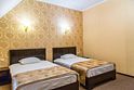 Двухместный номер Standard 2 отдельные кровати, Отель Karoza, Демьянское