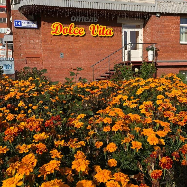 Отель Дольче Вита, Кировская область: фото 2