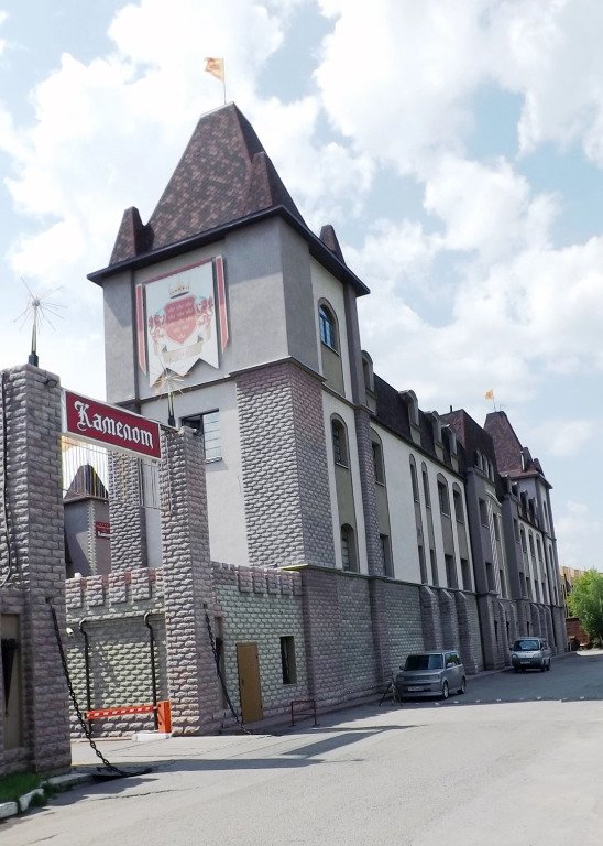 Отель Камелот, Омская область: фото 2