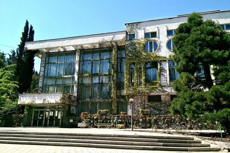 Алуштинский, Крым: фото 5