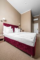 Двухместный номер Эконом-класса двуспальная кровать, Отель Fortis Hotel Dubrovka, Москва