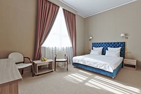 Двухместный номер Стандартный двуспальная кровать, Отель Fortis Hotel Dubrovka, Москва