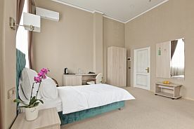 Двухместный номер Superior двуспальная кровать, Отель Fortis Hotel Dubrovka, Москва