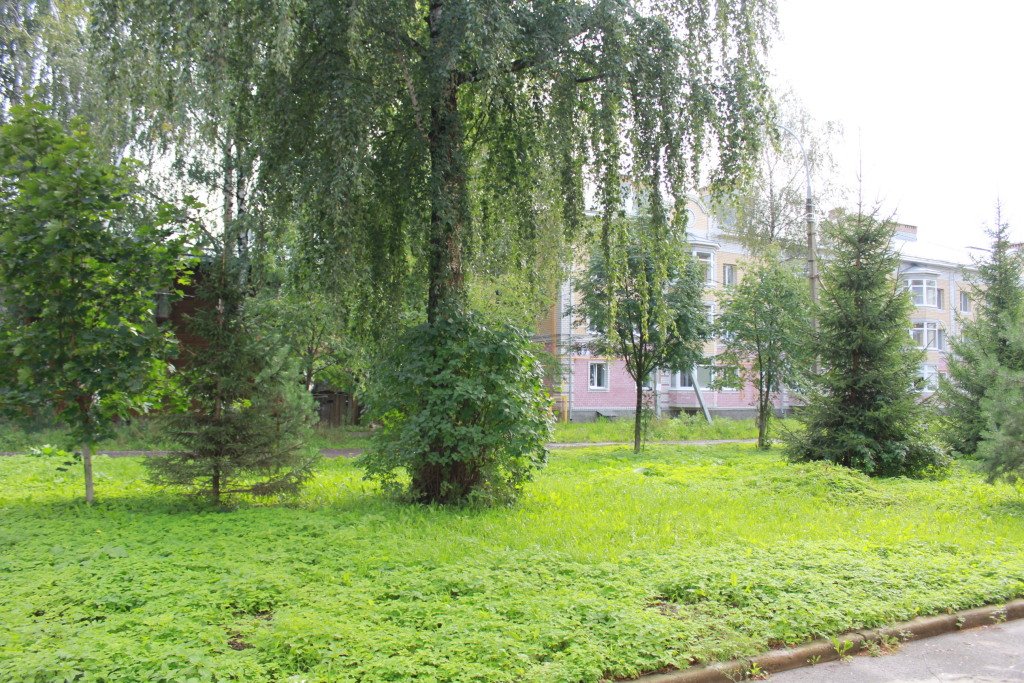 Отель на Введенской, Ярославская область: фото 4