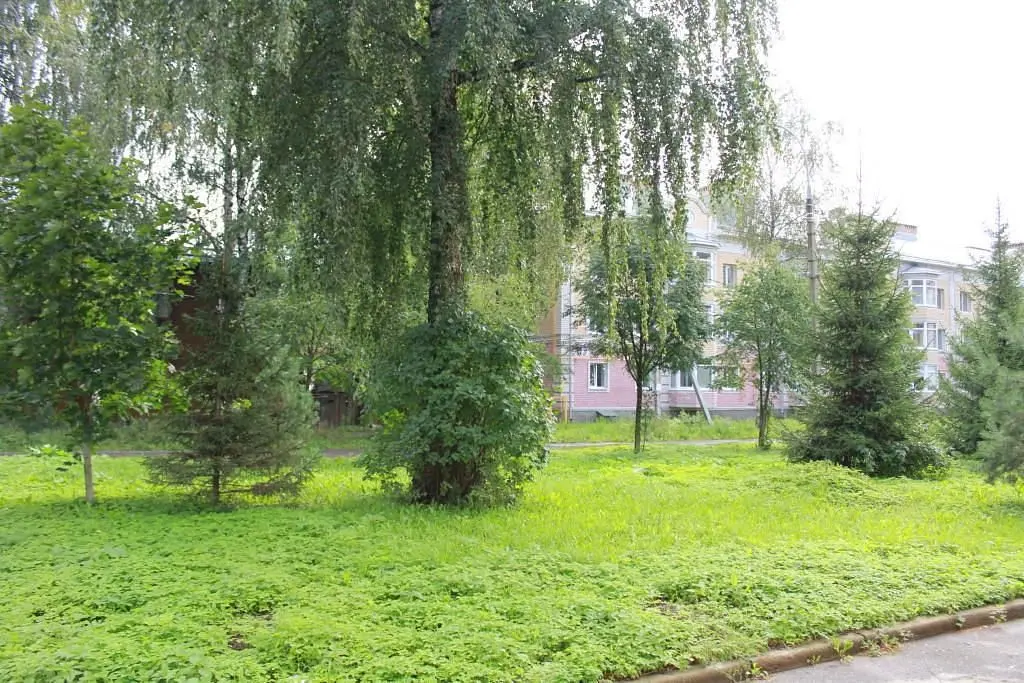 Отель на Введенской, Ярославская область: фото 4