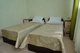 Двухместный номер Standard 2 отдельные кровати, Отель Traveler, Липецк