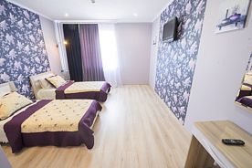 Двухместный номер 1 category Standard с видом на город 2 отдельные кровати, Отель Sport Hotel Максимум, Кемерово